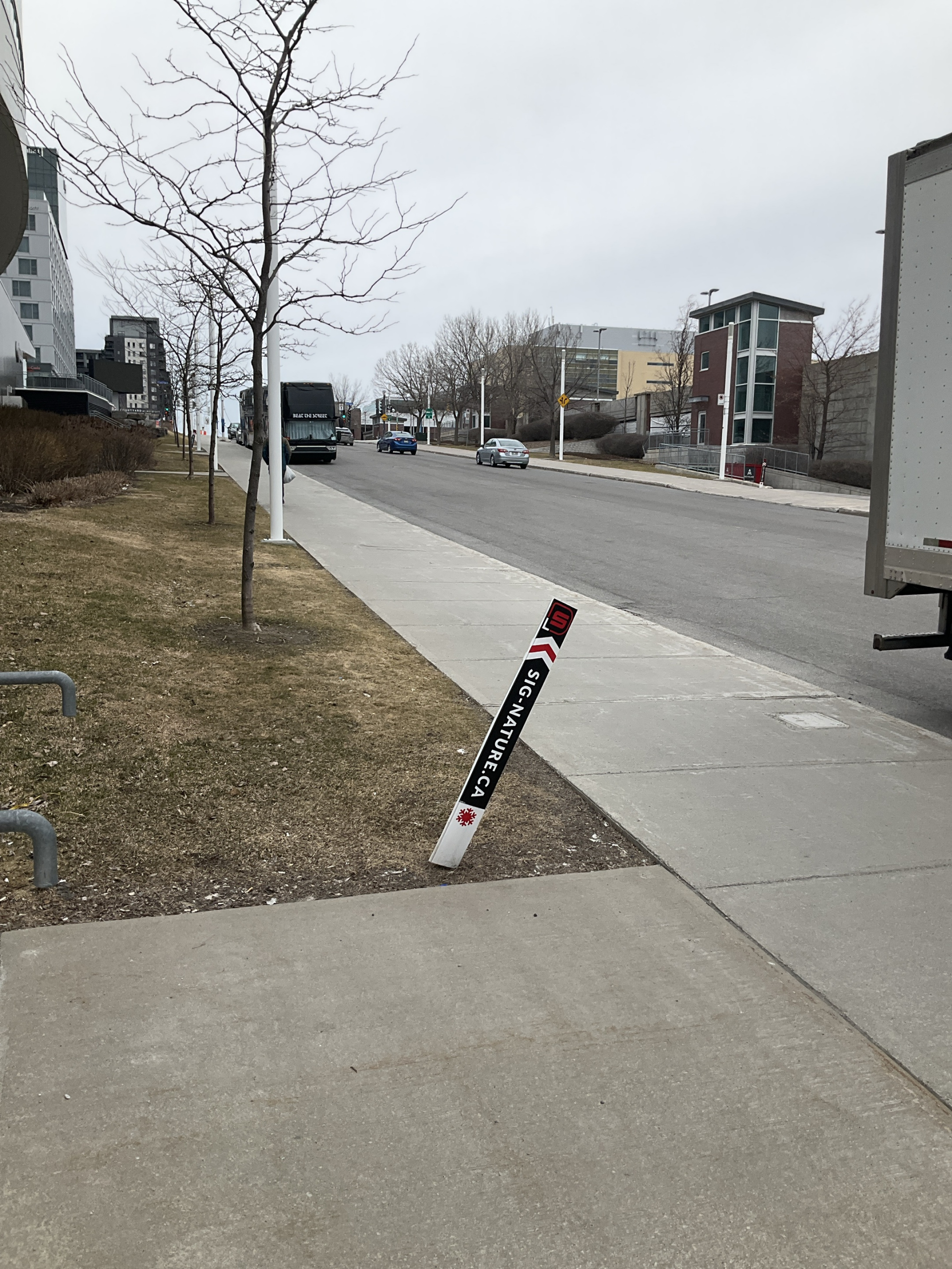 Place Bell — photo 27