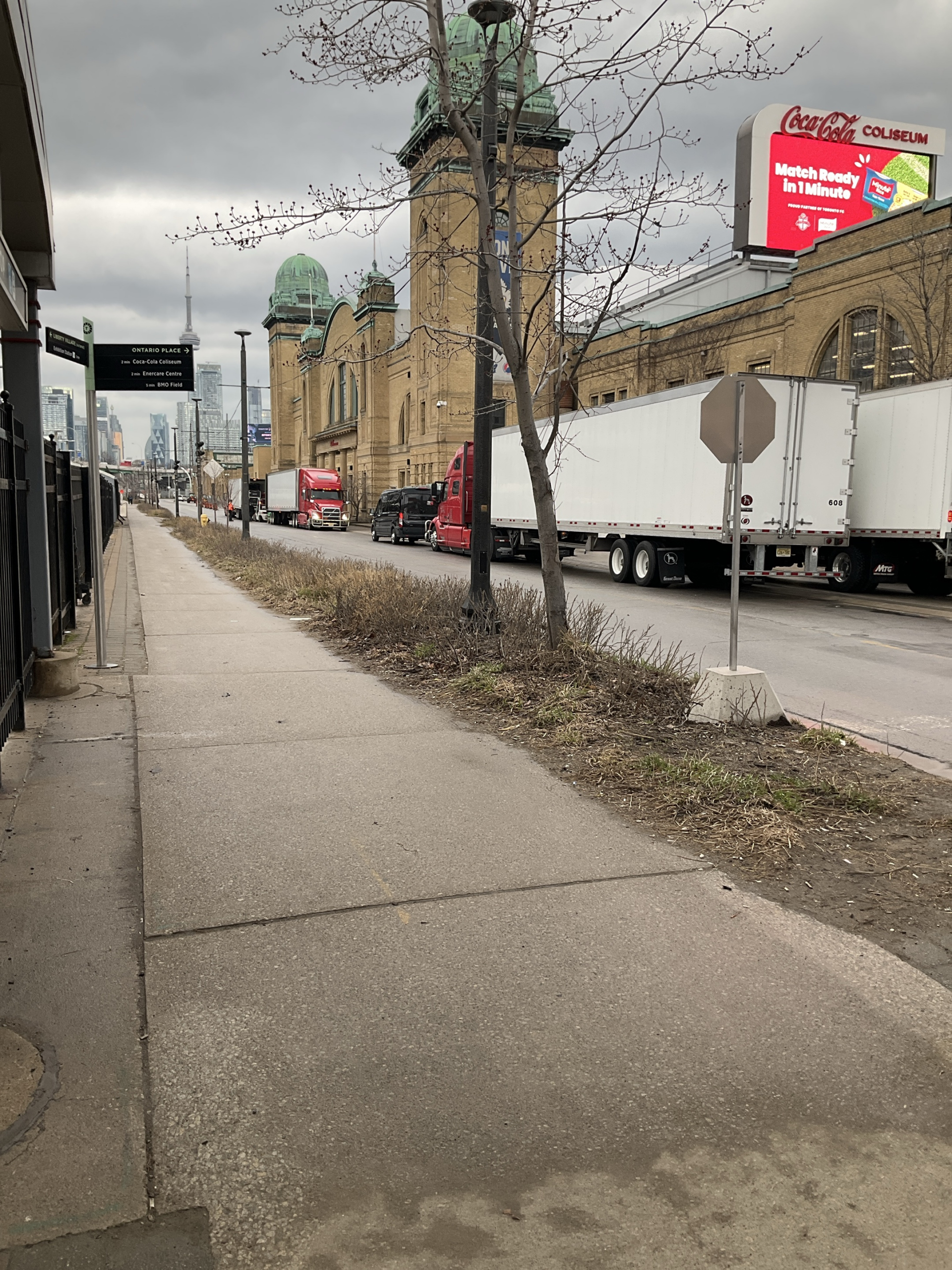 Coca Cola Coliseum — photo 12