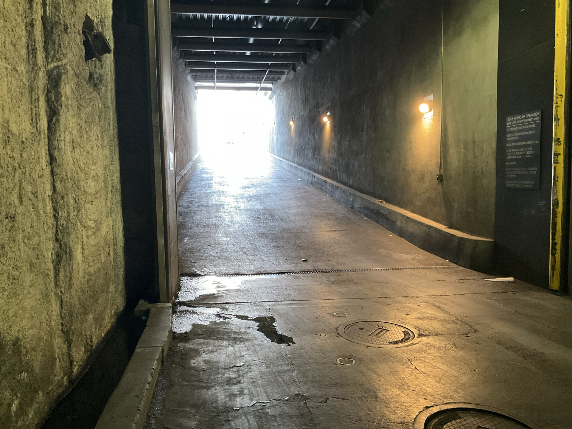 The Chelsea — photo 20