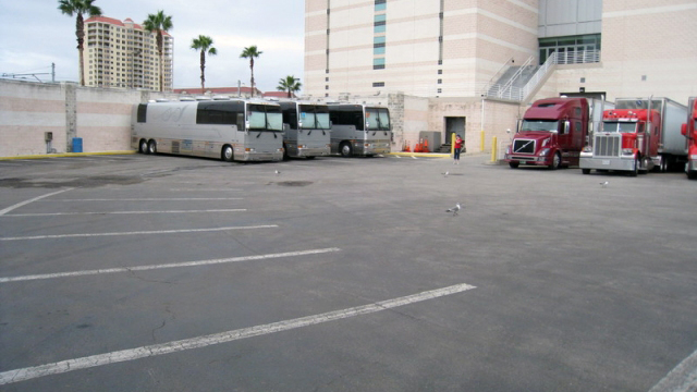 Benchmark International Arena — photo 17